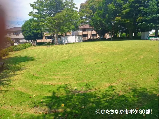 公園の風景