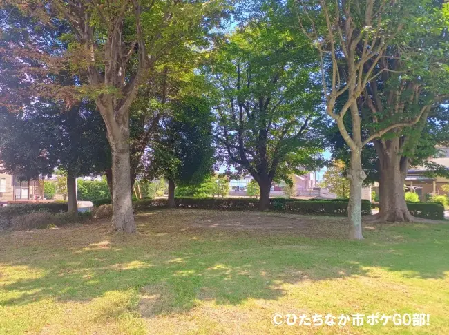 公園の風景