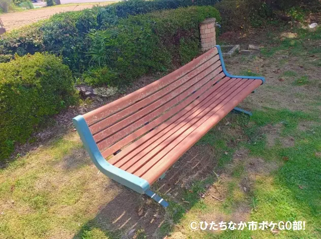 ベンチ