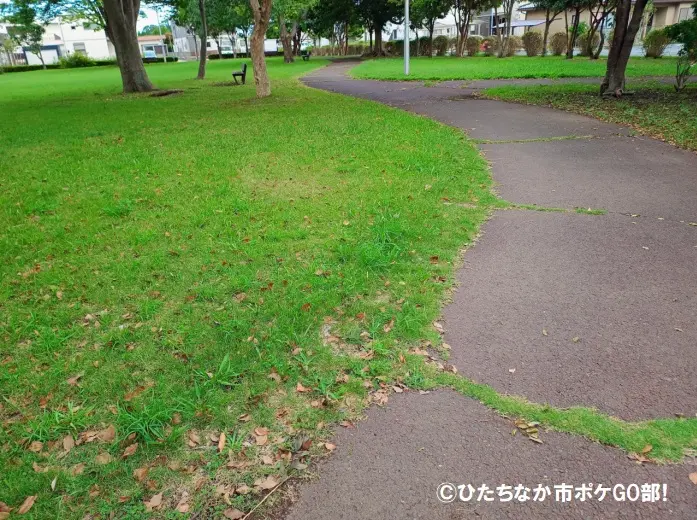 公園広場