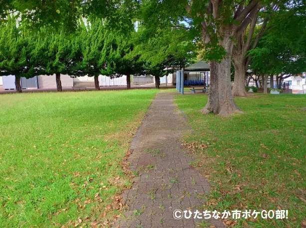 公園遊歩道