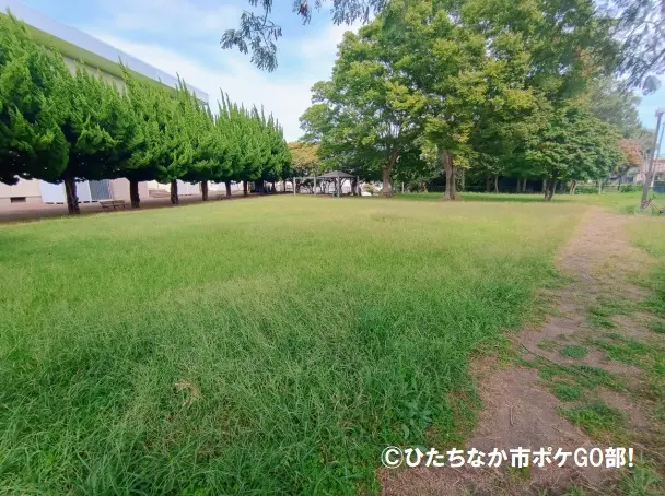 公園広場