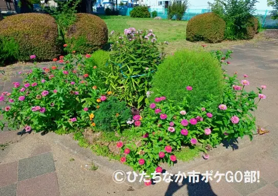 花壇