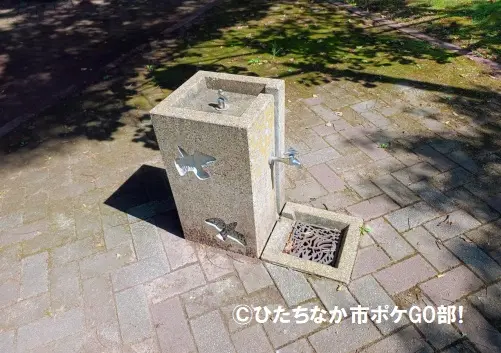 水道