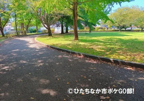 歩道
