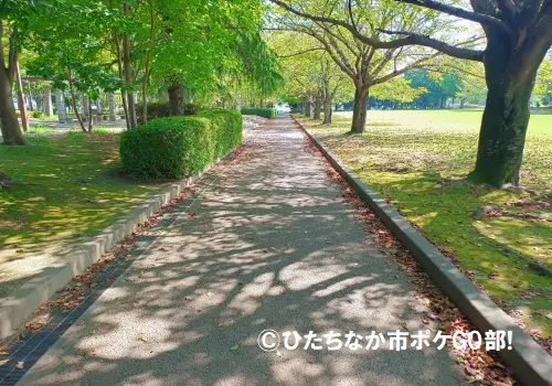 歩道