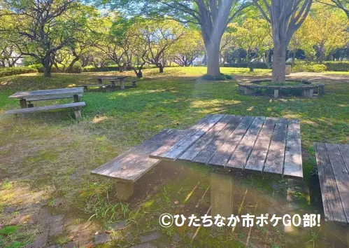 ベンチ