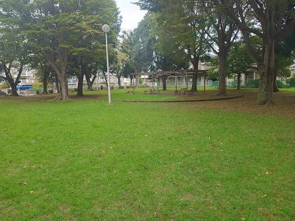 公園の芝生