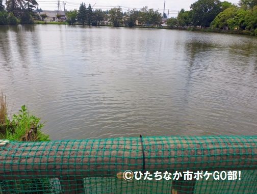 池