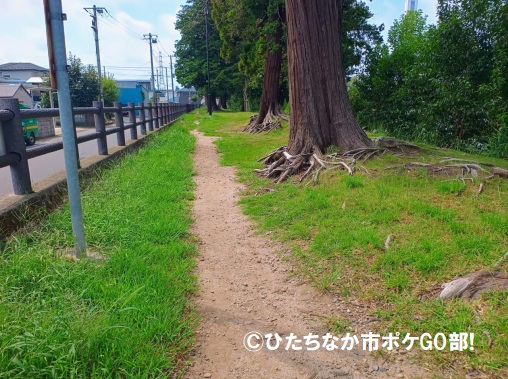 遊歩道