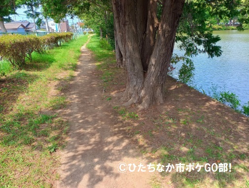 遊歩道