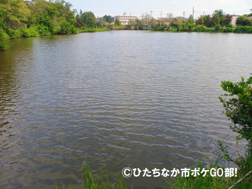 池