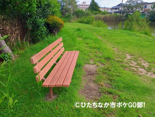 ベンチ