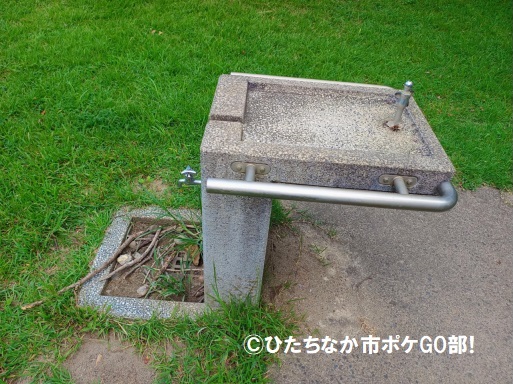 水道