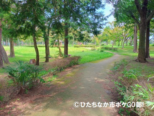 遊歩道
