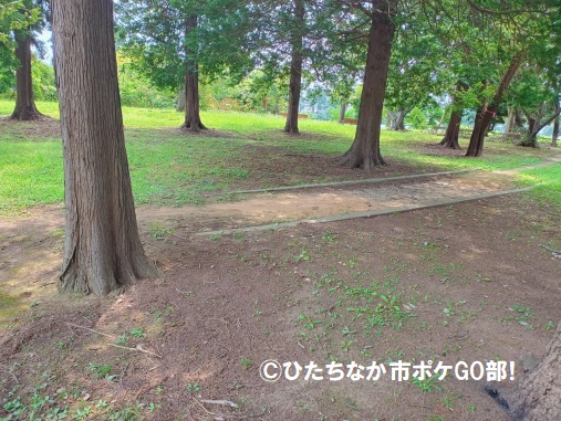 遊歩道