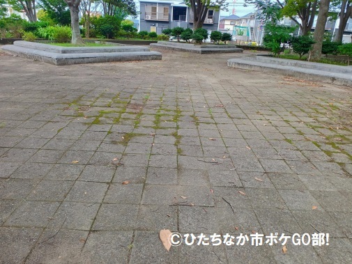 広場