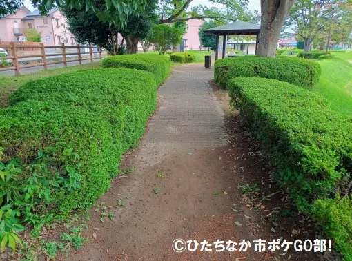 遊歩道