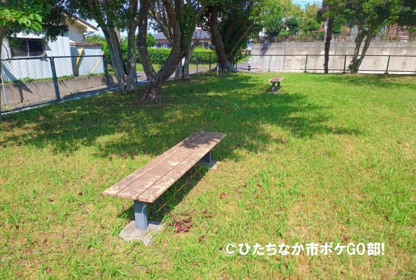 ベンチ