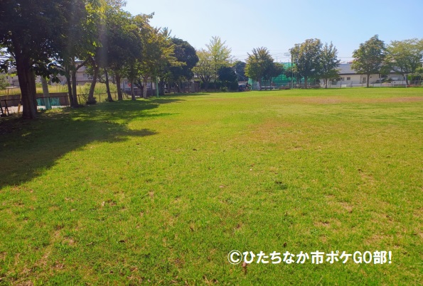 芝生