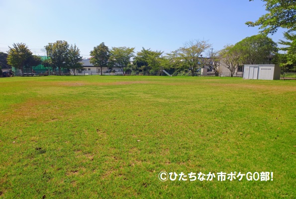 芝生