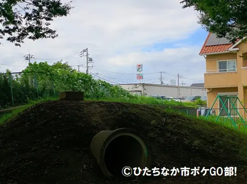 公園から見えるセブンイレブンの看板