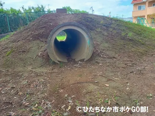 公園の土管