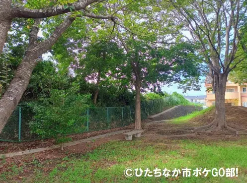 公園の広場
