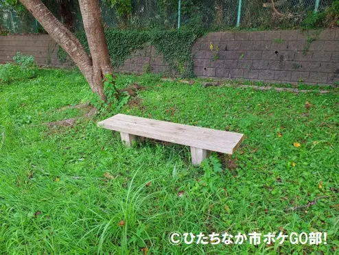 ベンチ