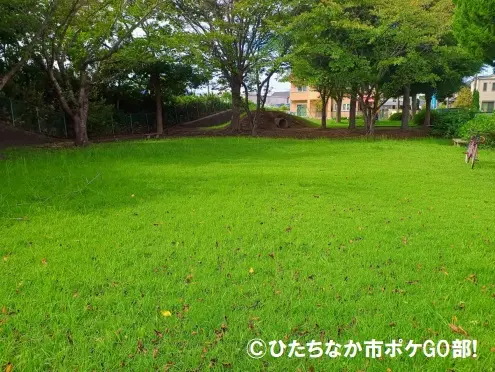 公園の広場