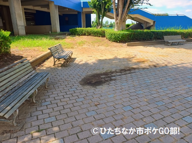 ベンチと歩道