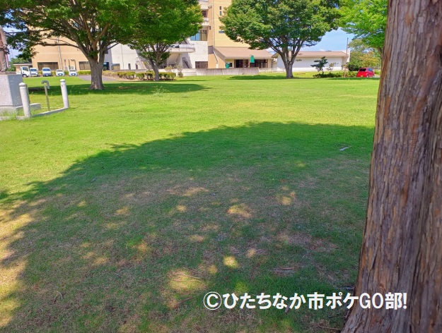 芝生広場