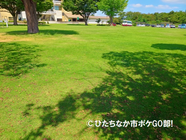 芝生広場