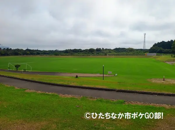 サッカー場(芝生)