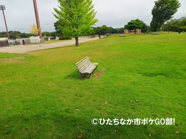 ベンチ