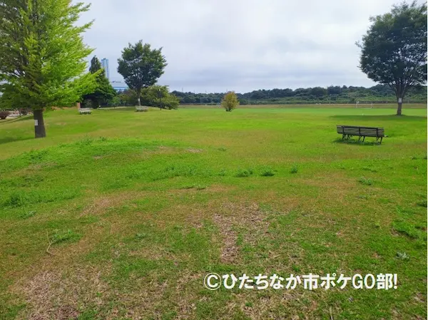 いこいの広場