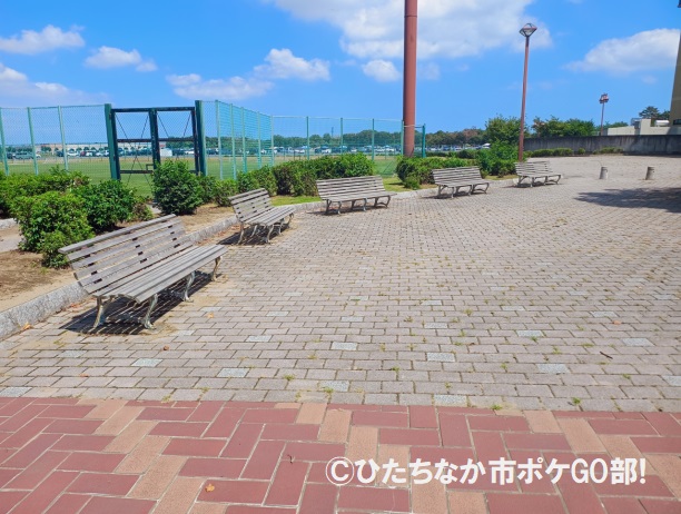 ベンチ