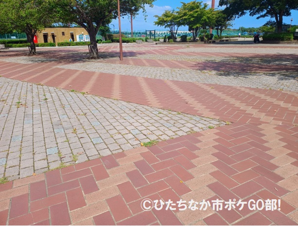 運動公園の歩道